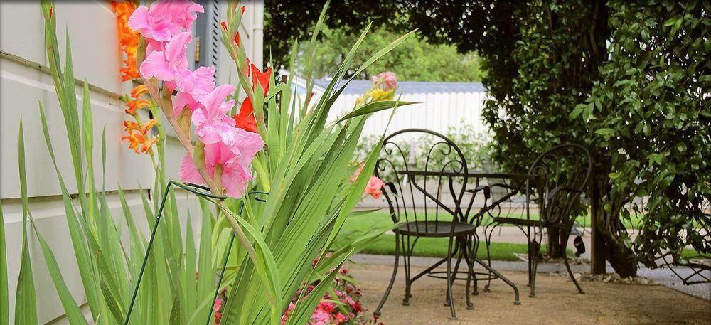 Arbor Guest House Νάπα Εξωτερικό φωτογραφία