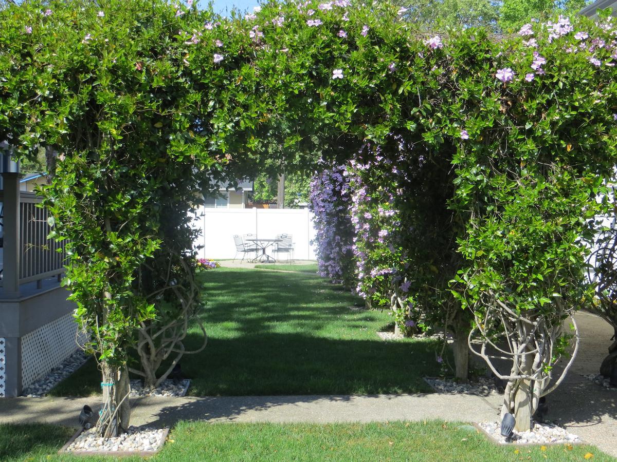 Arbor Guest House Νάπα Εξωτερικό φωτογραφία